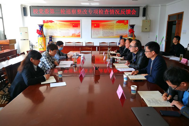 校党委完成第二轮巡察整改专项检查情况反馈