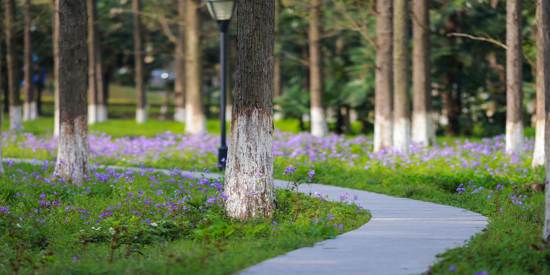 安徽工业大学 gallery image 2